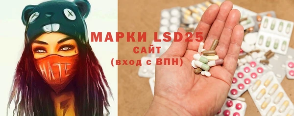 индика Абаза