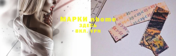индика Абаза