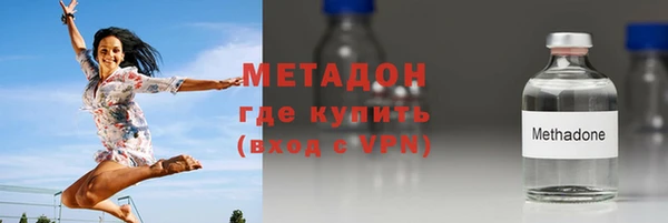 индика Абаза