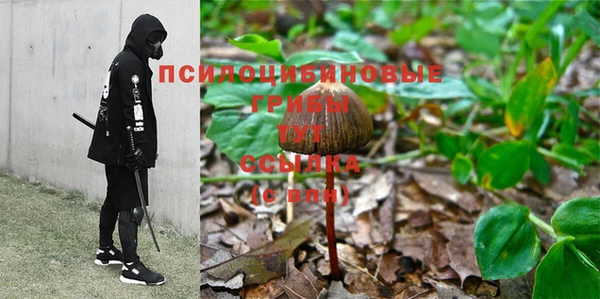 индика Абаза