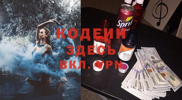 индика Абаза