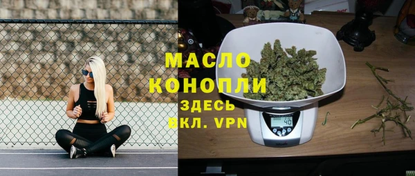 индика Абаза