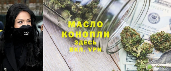 индика Абаза