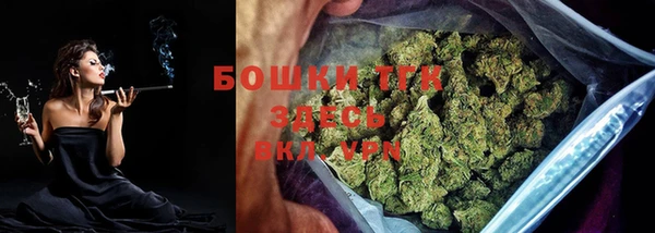 индика Абаза