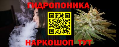 a pvp Можга