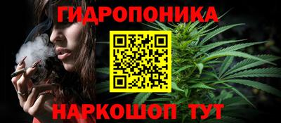 a pvp Можга