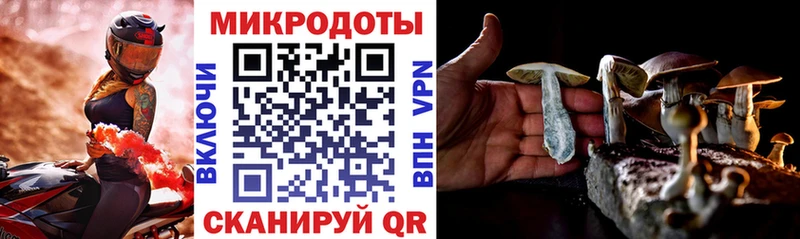 Псилоцибиновые грибы мухоморы  где найти наркотики  Сокол 
