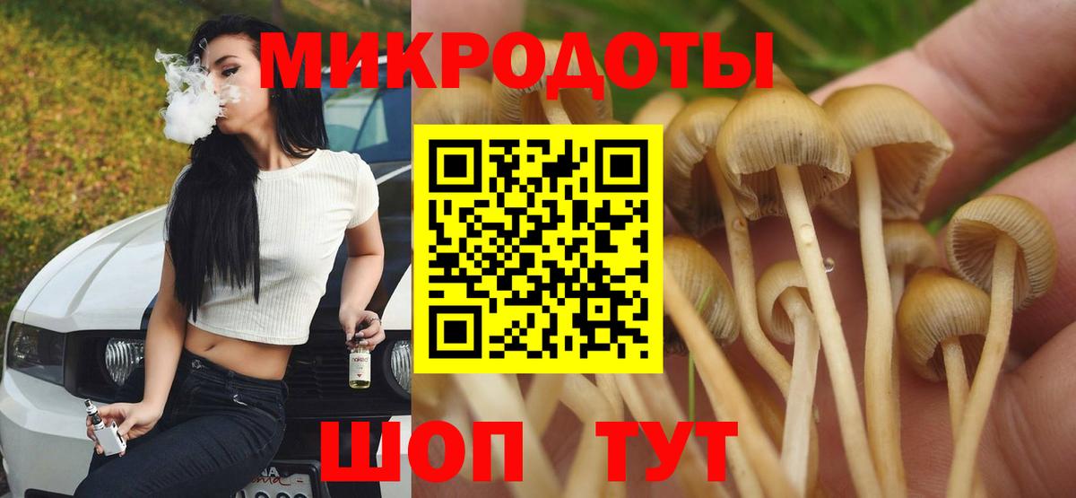 Псилоцибиновые грибы MAGIC MUSHROOMS  Вход с VPN  Галлюциногенные грибы Magic Shrooms  продажа наркотиков  Сокол 
