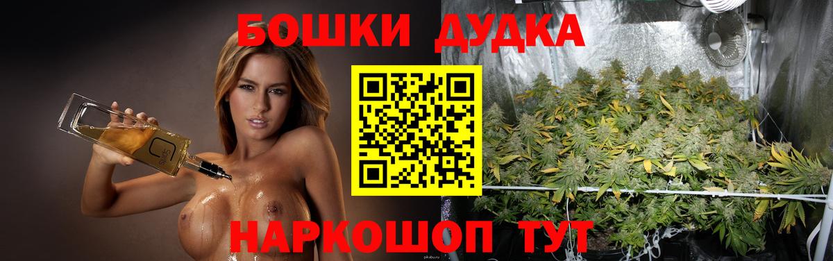 Канабис семена  Вход с VPN  Шишки марихуана Bruce Banner  Сокол 